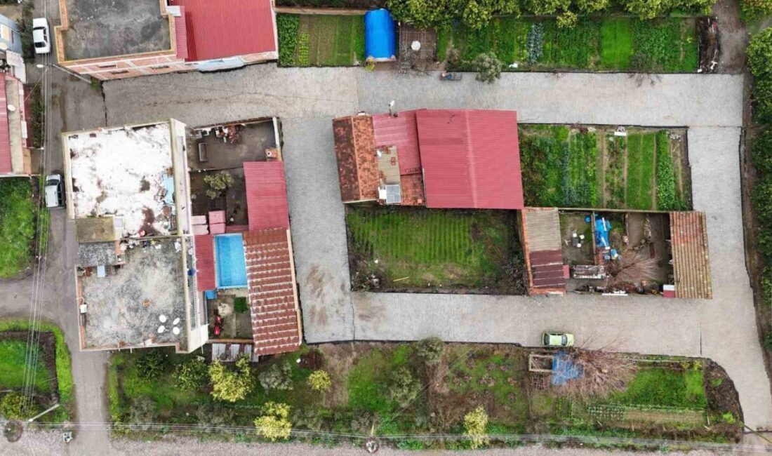 Nazilli Belediyesi, Hamzallı Mahallesi’nin