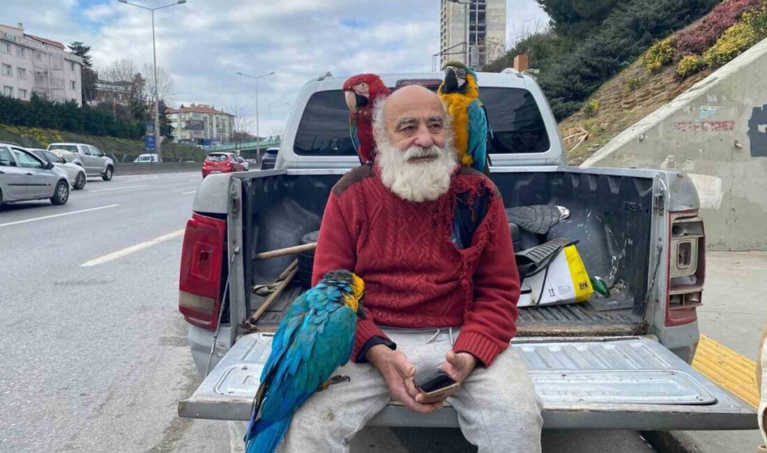 İstanbul’un Beykoz ilçesinde omzunda