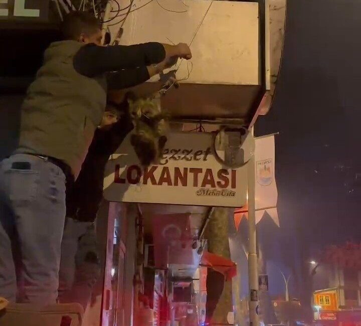 Bursa’nın İznik ilçesinde kablolara