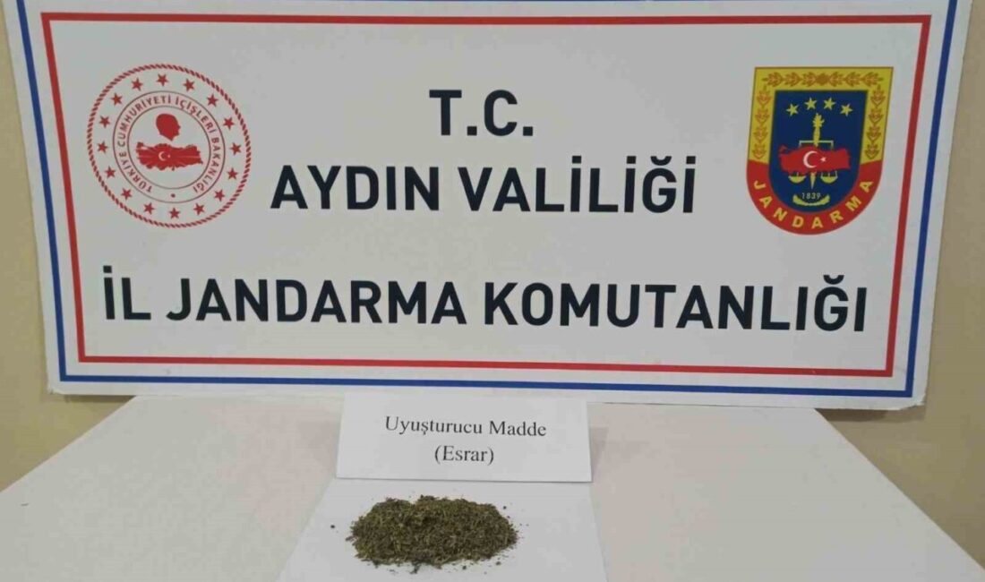 Aydın’ın Efeler ilçesinde jandarma