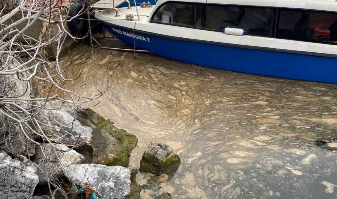 Marmara Denizi’nde yeniden etkisini