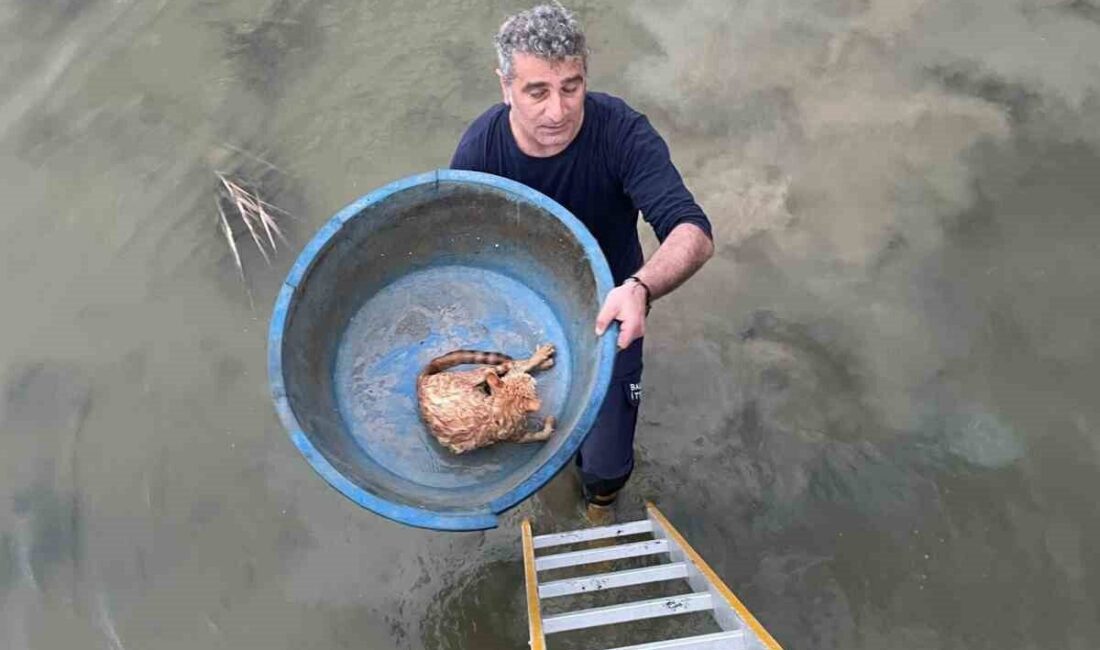 Balıkesir’in Ayvalık ilçesinde köprü