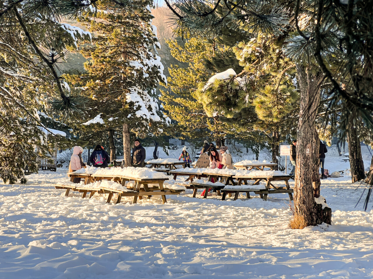 Kütahya Topuk Yayla Tabiat Parkı’nda yeni yılın ilk gününde ziyaretçi yoğunluğu yaşandı