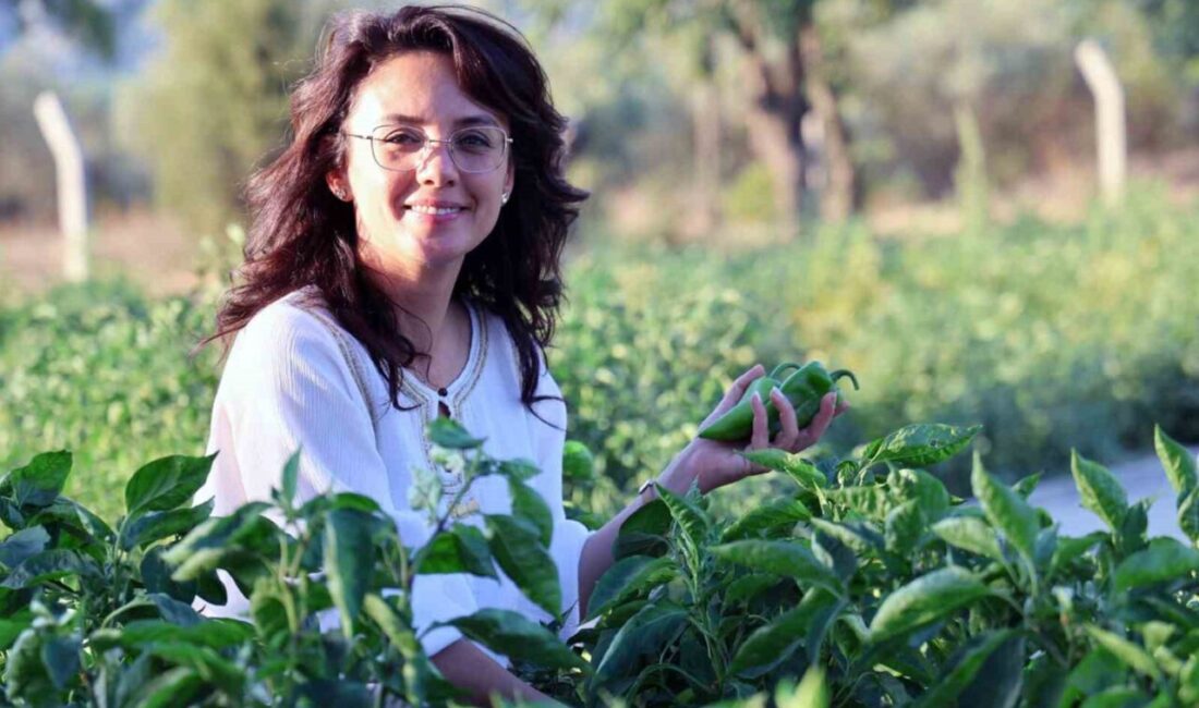 Menteşe Belediye Başkanı Şehir