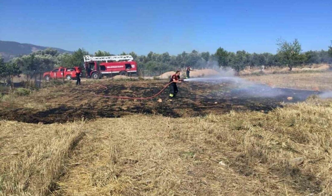 Muğla Büyükşehir Belediyesi İtfaiyesi