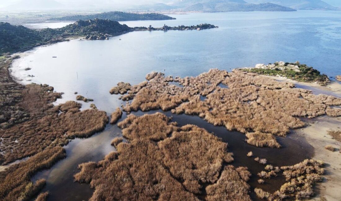 - Muğla ile Aydın