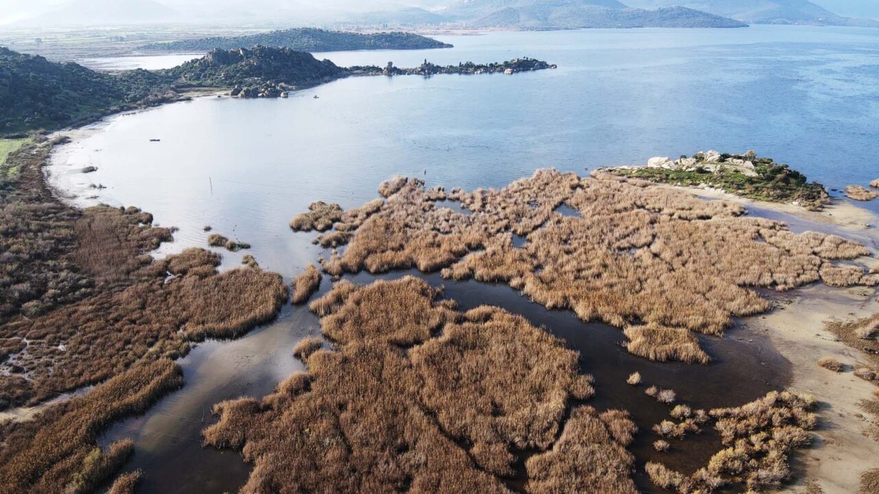 Muğla ve çevresindeki yağış bereketi Bafa Gölü’ne nefes aldırdı