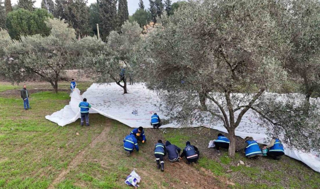 Nazilli Belediyesi, kendisine ait