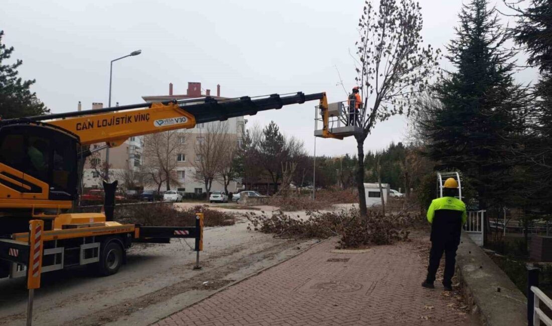 Odunpazarı Belediyesi Park ve