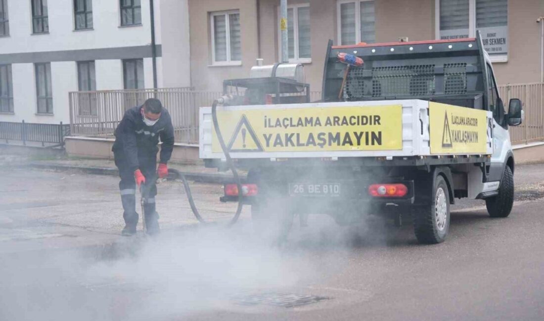 Odunpazarı Belediyesi Veteriner İşleri