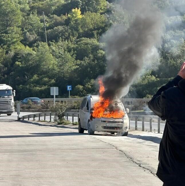 Muğla’nın Bodrum ilçesinde seyir